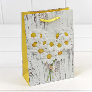 Пакет подарочный