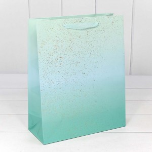 Пакет подарочный