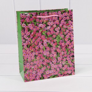 Пакет подарочный