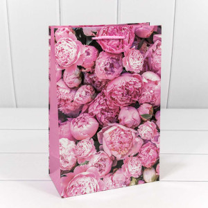 Пакет подарочный