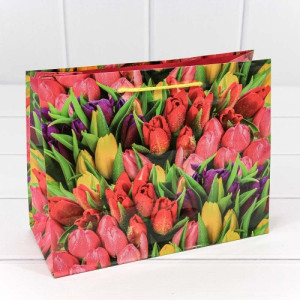 Пакет подарочный 