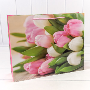 Пакет подарочный