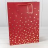 Пакет подарочный Пакет подарочный