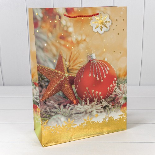 Пакет подарочный