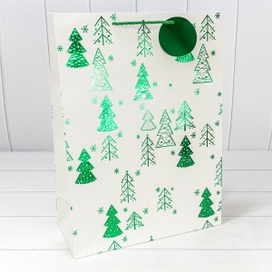 Пакет подарочный 