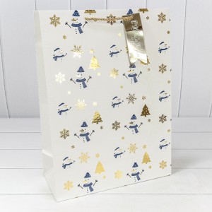 Пакет подарочный 