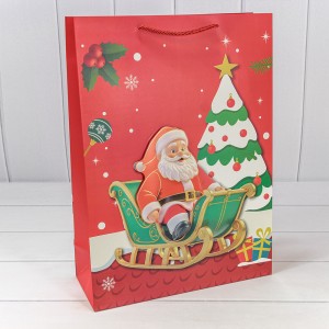 Пакет подарочный  