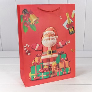 Пакет подарочный  