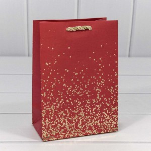 Пакет подарочный