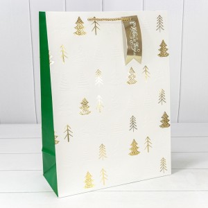 Пакет подарочный  