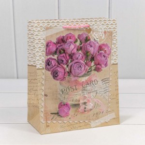 Пакет подарочный