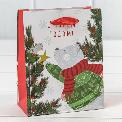 Пакет подарочный 