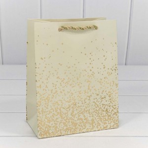 Пакет подарочный