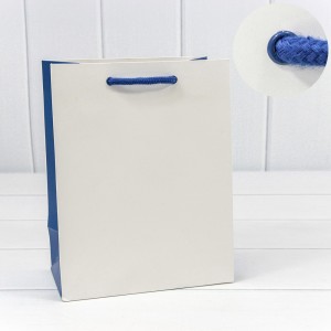 Пакет подарочный       