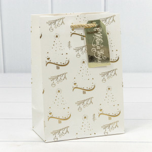 Пакет подарочный