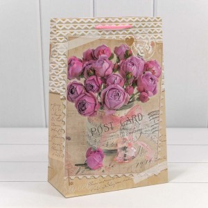 Пакет подарочный