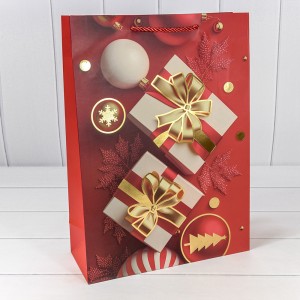 Пакет подарочный  