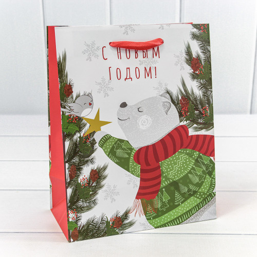 Пакет подарочный 