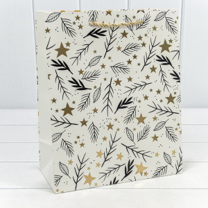 Пакет подарочный 