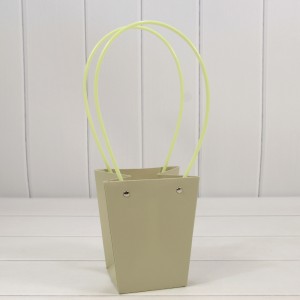 Пакет подарочный    