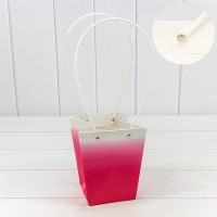 Пакет подарочный    