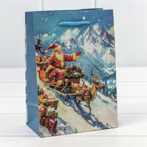 Пакет подарочный  