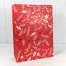 Пакет подарочный Пакет подарочный