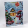 Пакет подарочный     