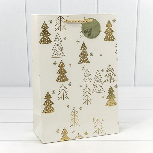 Пакет подарочный