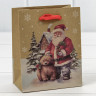 Пакет подарочный Пакет подарочный