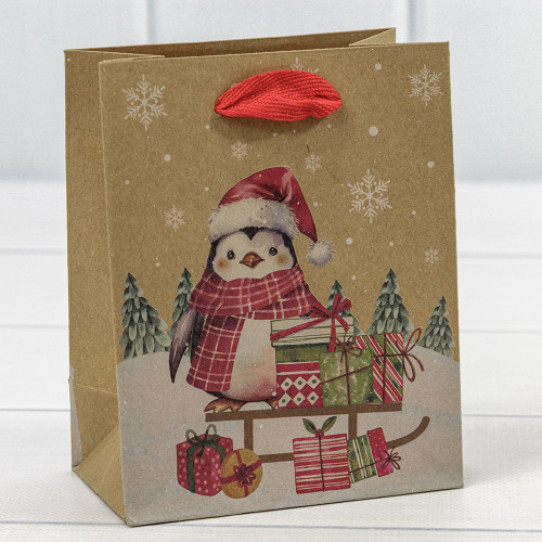 Пакет подарочный