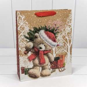 Пакет подарочный