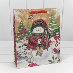 Пакет подарочный