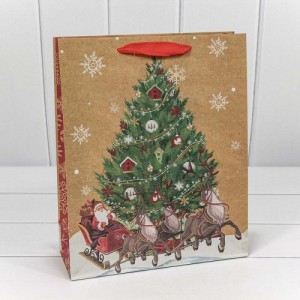 Пакет подарочный