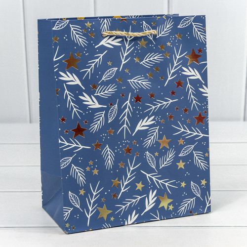 Пакет подарочный