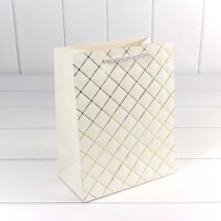 Пакет подарочный