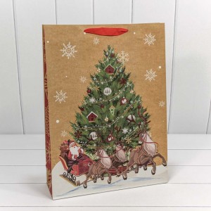 Пакет подарочный