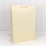 Пакет подарочный Пакет подарочный