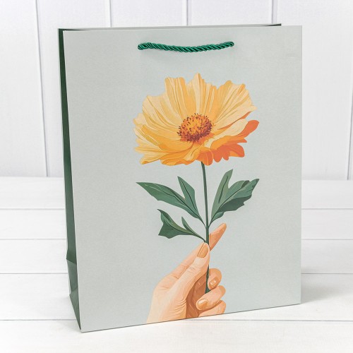 Пакет подарочный    