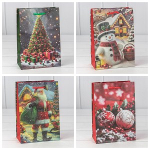 Пакет подарочный  