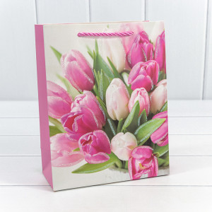 Пакет подарочный  