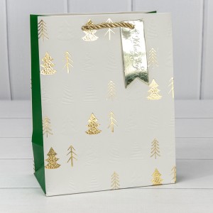 Пакет подарочный 