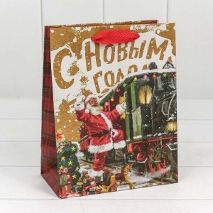 Пакет подарочный 