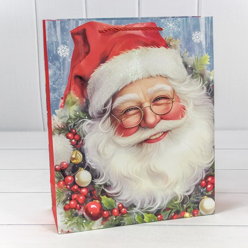 Пакет подарочный