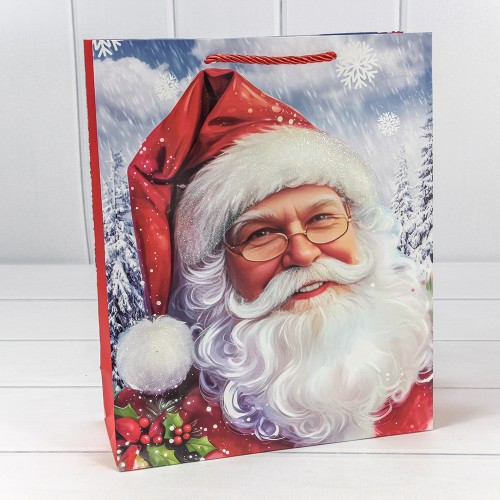 Пакет подарочный