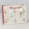 Пакет подарочный Пакет подарочный