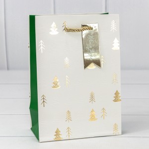 Пакет подарочный 