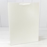 Пакет подарочный       