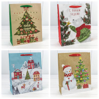 Пакет подарочный   