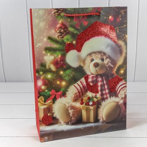 Пакет подарочный    